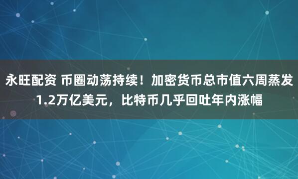 永旺配资 币圈动荡持续！加密货币总市值六周蒸发1.2万亿美元，比特币几乎回吐年内涨幅