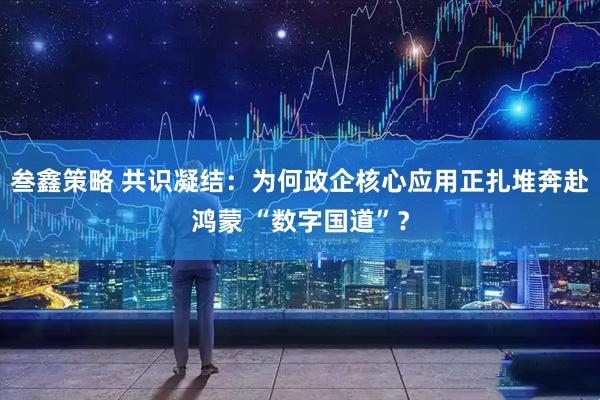 叁鑫策略 共识凝结：为何政企核心应用正扎堆奔赴鸿蒙 “数字国道”？