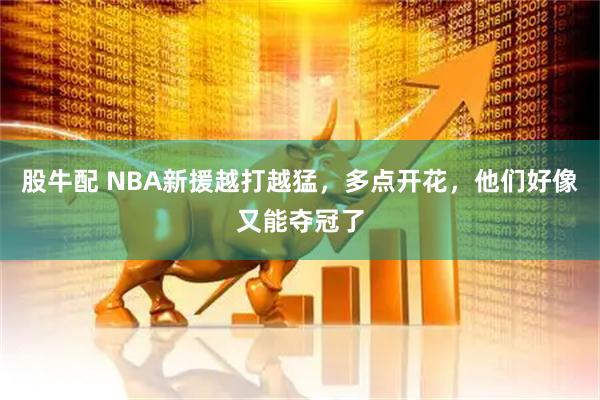 股牛配 NBA新援越打越猛，多点开花，他们好像又能夺冠了